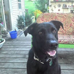 Meet your Posher, Tammy